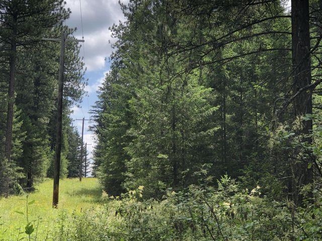 Xx Deer Creek Road Valley, WA 99181 - Photo 11 of 11