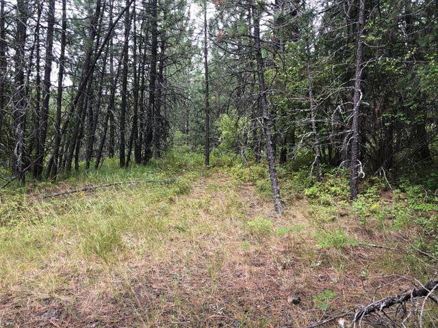 Xx Deer Creek Road Valley, WA 99181 - Photo 3 of 11