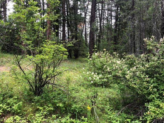 Xx Deer Creek Road Valley, WA 99181 - Photo 4 of 11