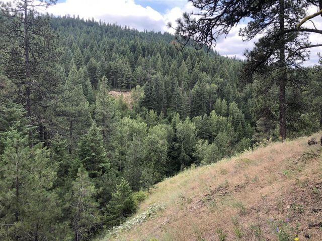 Xx Deer Creek Road Valley, WA 99181 - Photo 6 of 11