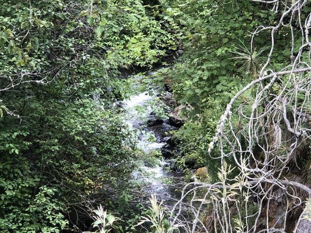 Xx Deer Creek Road Valley, WA 99181 - Photo 9 of 11