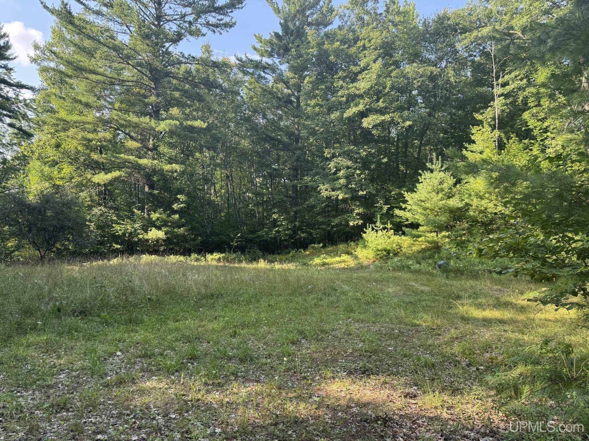 N410 Homestead Road Vulcan, MI 49892 - Photo 2 of 5