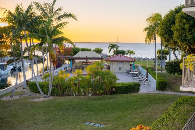 a view of a house with a yard and potted plants