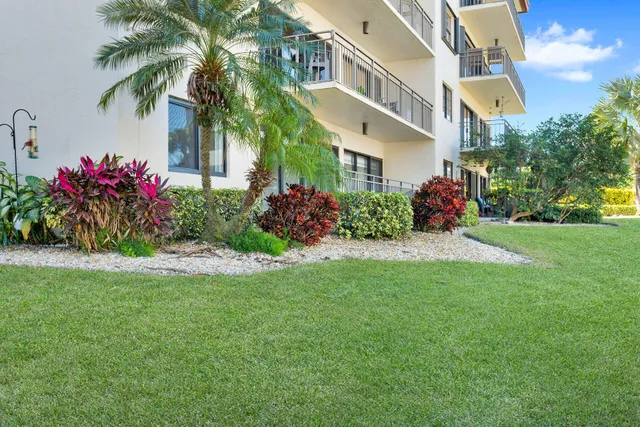 a view of a swimming pool with a garden and plants