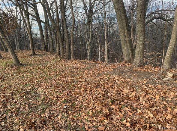 0 Territorial Road Benton Harbor, MI 49022 - Photo 16 of 23 Gallery Image 16