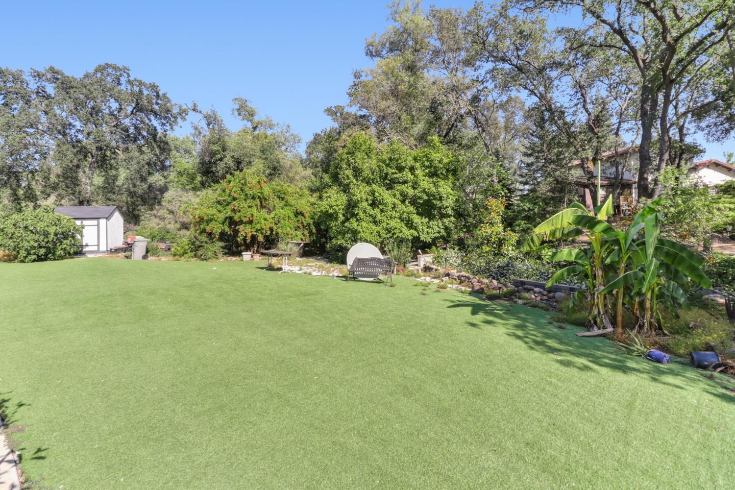 4330 Cavitt Stallman Road Granite Bay, CA 95746 - Photo 49 of 85 a fire hydrant in the middle of a field