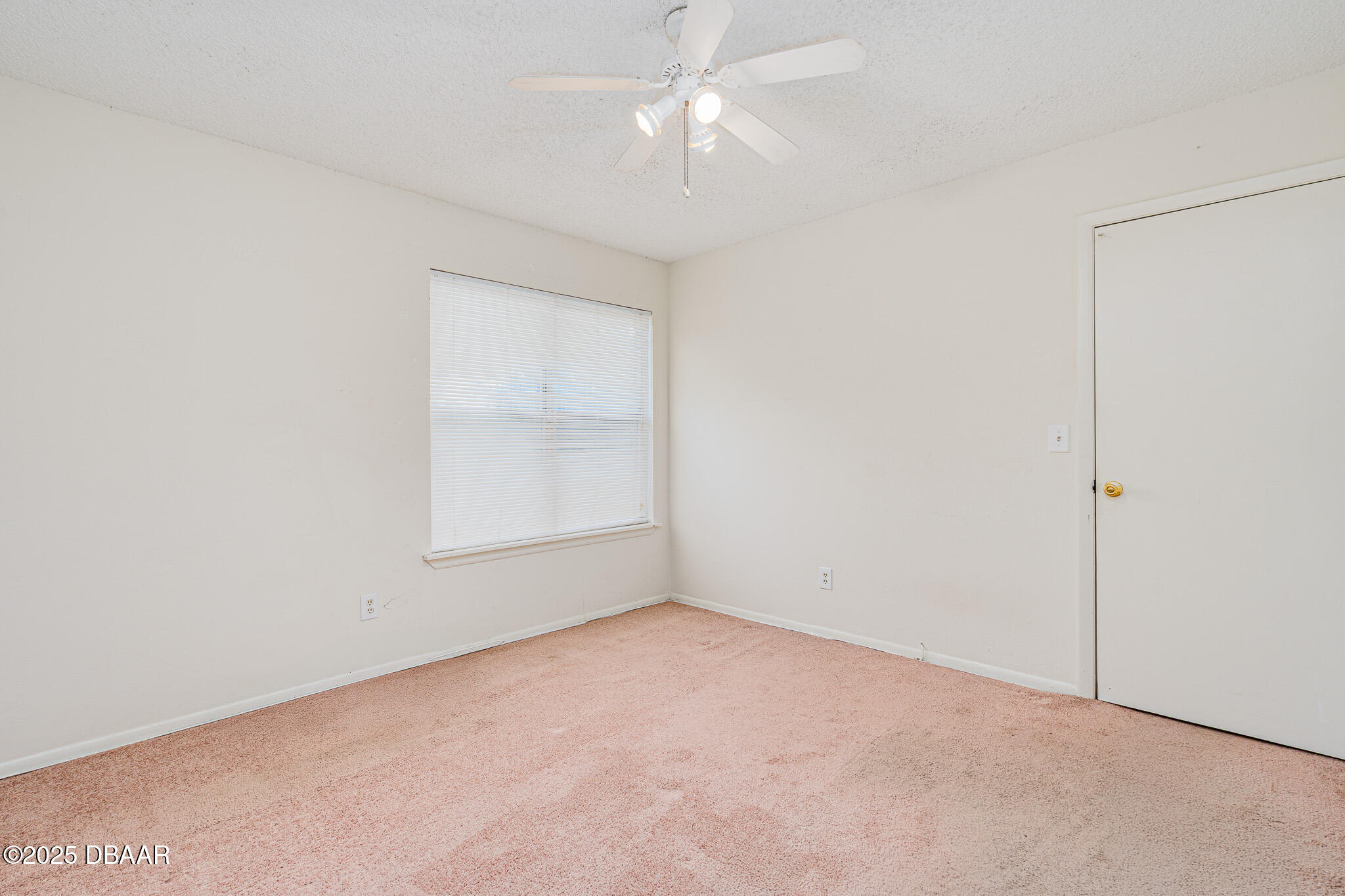 1600 Big Tree Road, Unit O6 Daytona Beach, FL 32119 - Photo 15 of 50 15