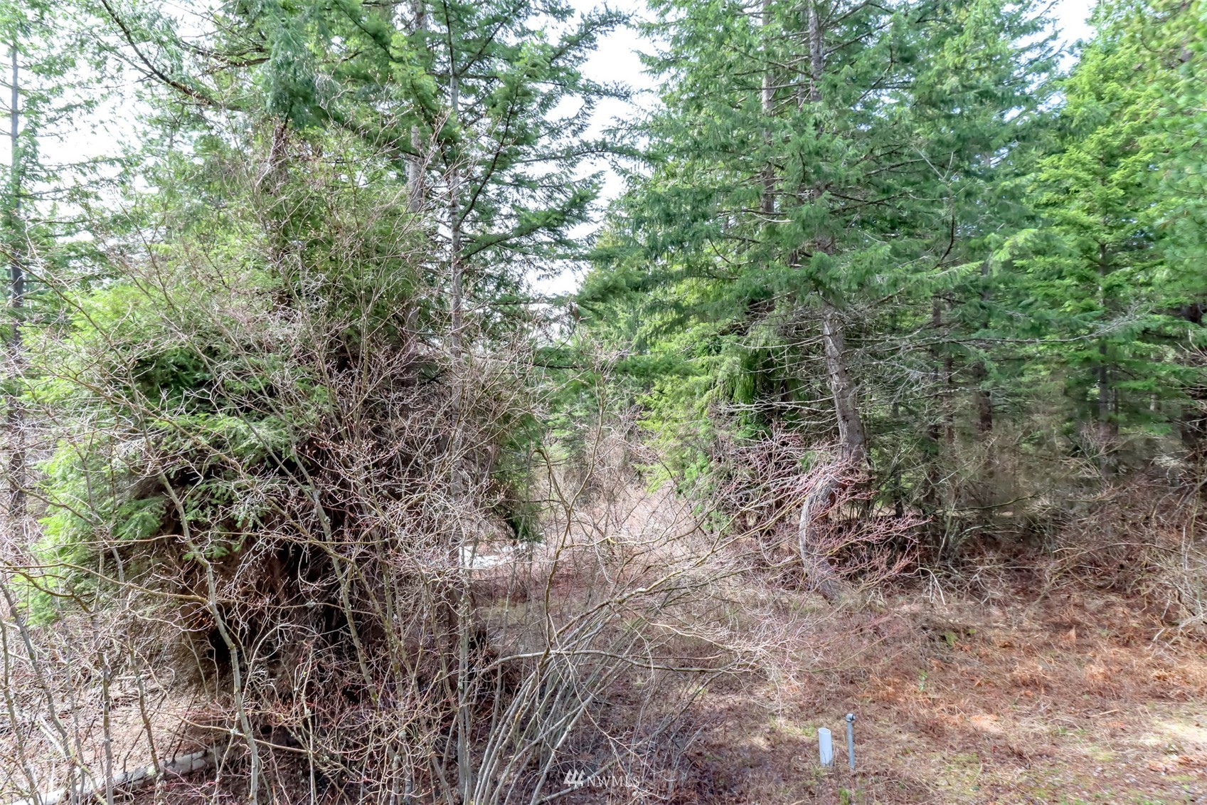 121 Bakers Road Ronald, WA 98940 - Photo 31 of 37 Gallery Image 31