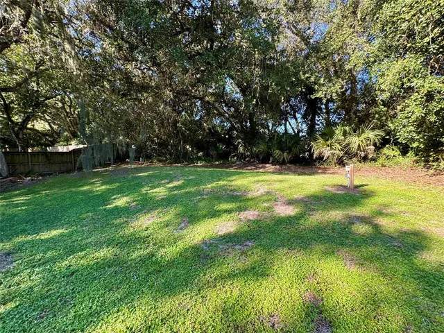 a view of a big yard with plants and large trees