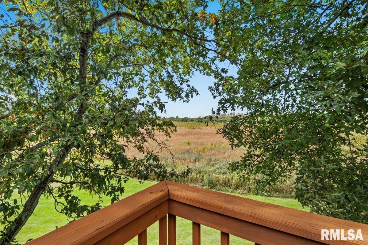 849 Chukker Lane Springfield, IL 62712 - Photo 40 of 50