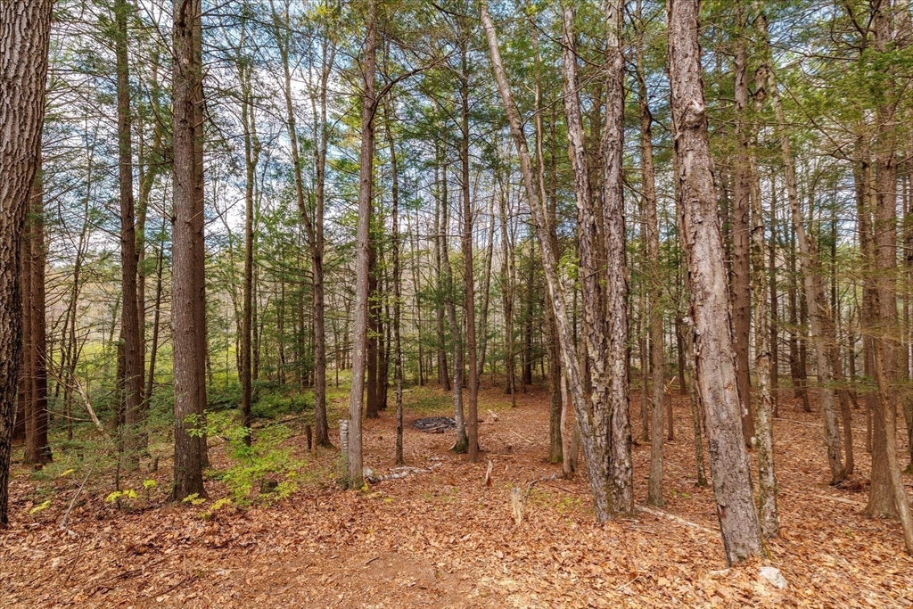 23 Birches Road Hubbardston, MA 01452 - Photo 37 of 42