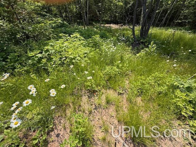 8690 Freda Road Atlantic Mine, MI 49905 - Photo 7 of 23 Gallery Image 7