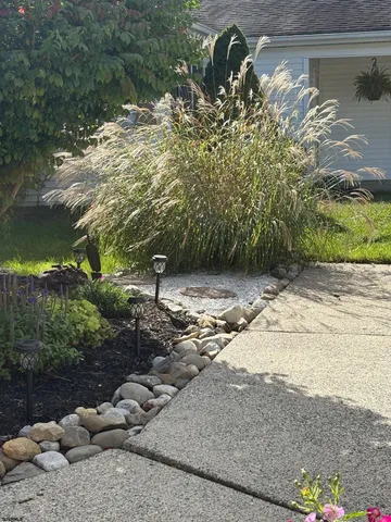 a view of a tree with a yard