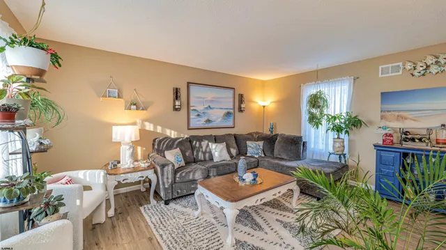 a living room with furniture and a potted plant