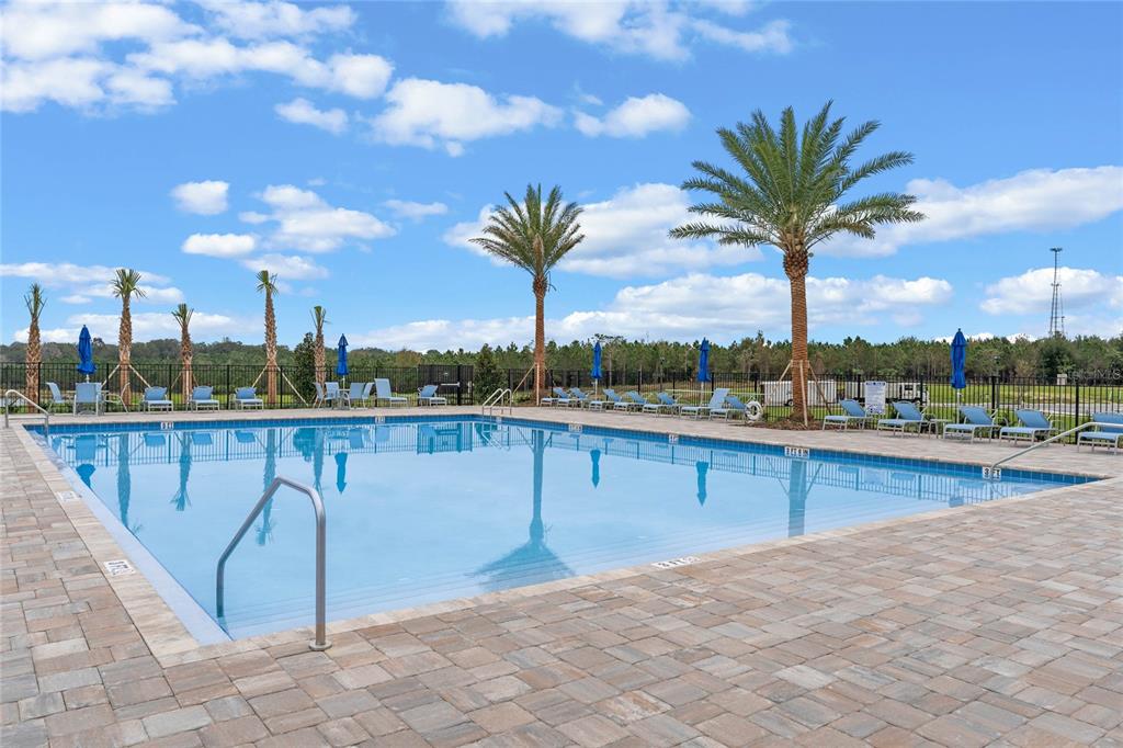2698 Rowan Street Tavares, FL 32778 - Photo 31 of 36