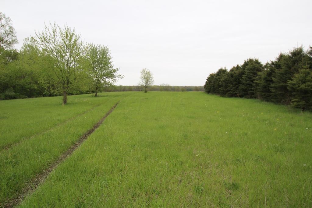 0 State Rte 207 Northeast Mount Sterling, OH 43143 - Photo 1 of 6 Gallery Image 1