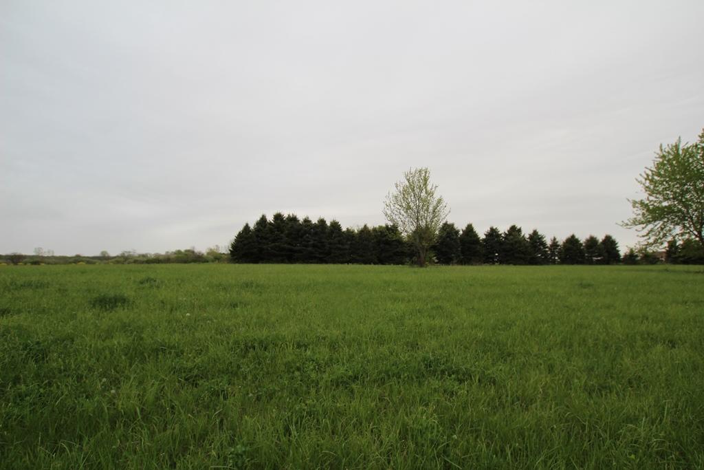 0 State Rte 207 Northeast Mount Sterling, OH 43143 - Photo 2 of 6 Gallery Image 2