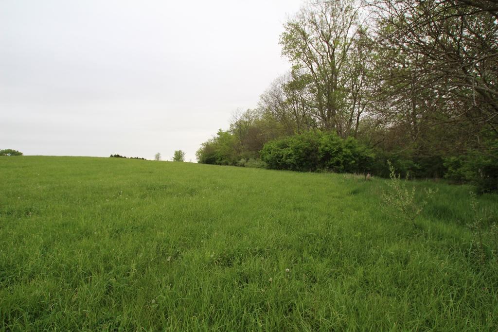 0 State Rte 207 Northeast Mount Sterling, OH 43143 - Photo 3 of 6 Gallery Image 3