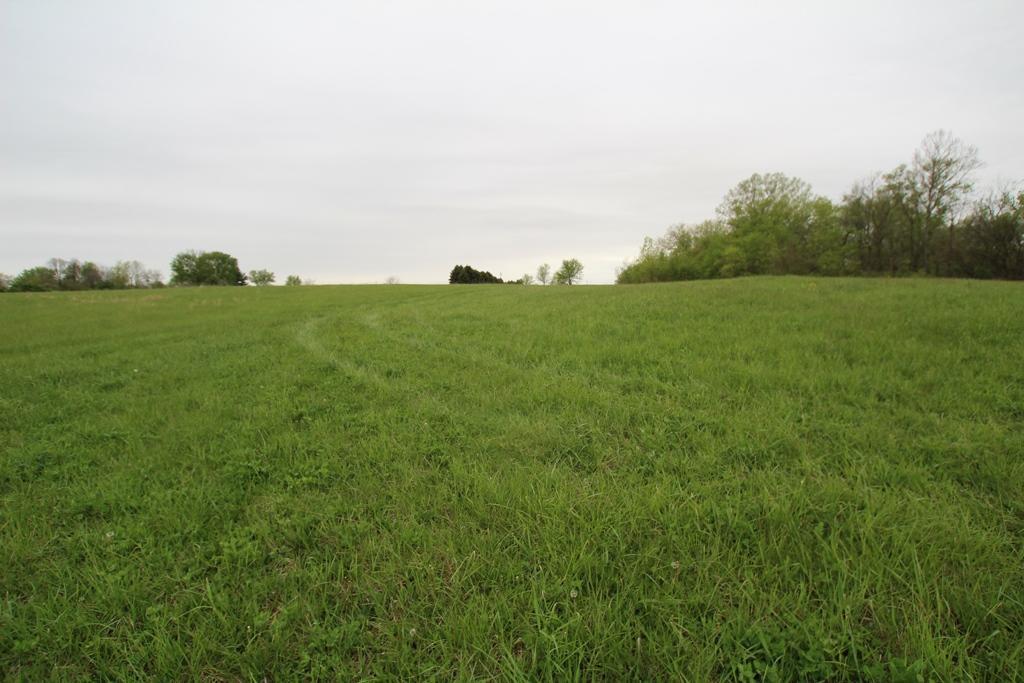 0 State Rte 207 Northeast Mount Sterling, OH 43143 - Photo 4 of 6 Gallery Image 4