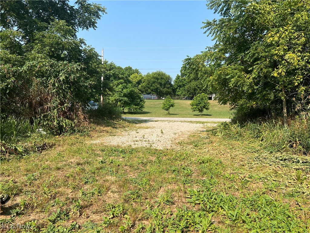 Vl Shaw Road Spencer, OH 44275 - Photo 8 of 28 View of driveway