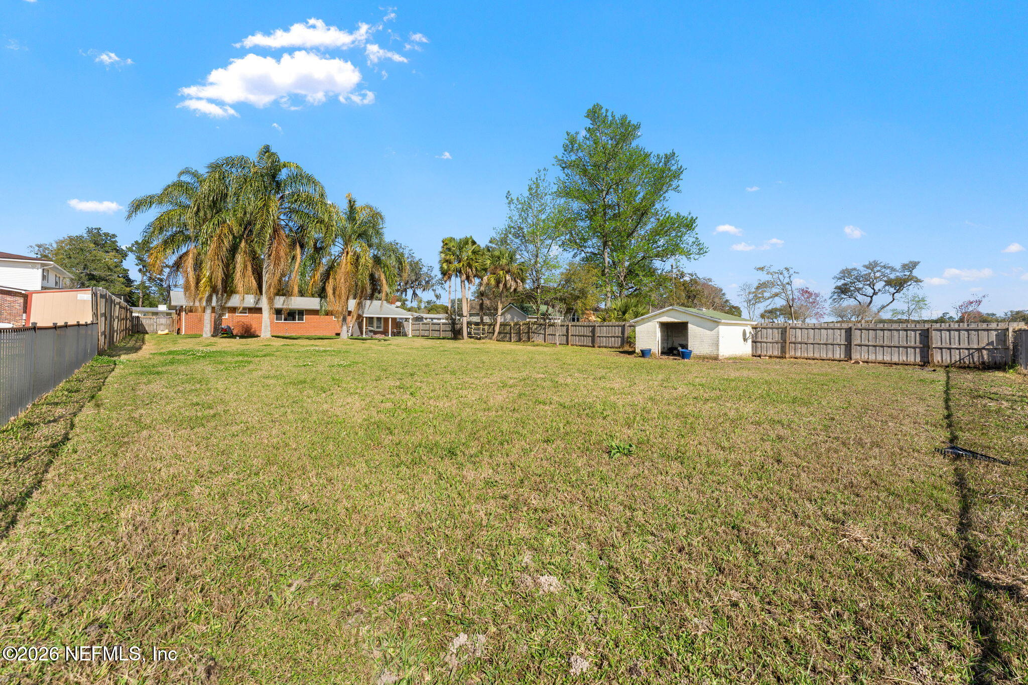 284 Baisden Road Jacksonville, FL 32218 - Photo 12 of 39 a view of a swimming pool and trees in the background
