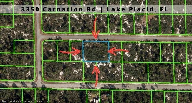 3350 Carnation Rd Lake Lake Placid, FL 33852 - Photo 1 of 1 a view of a park with a large trees and plants