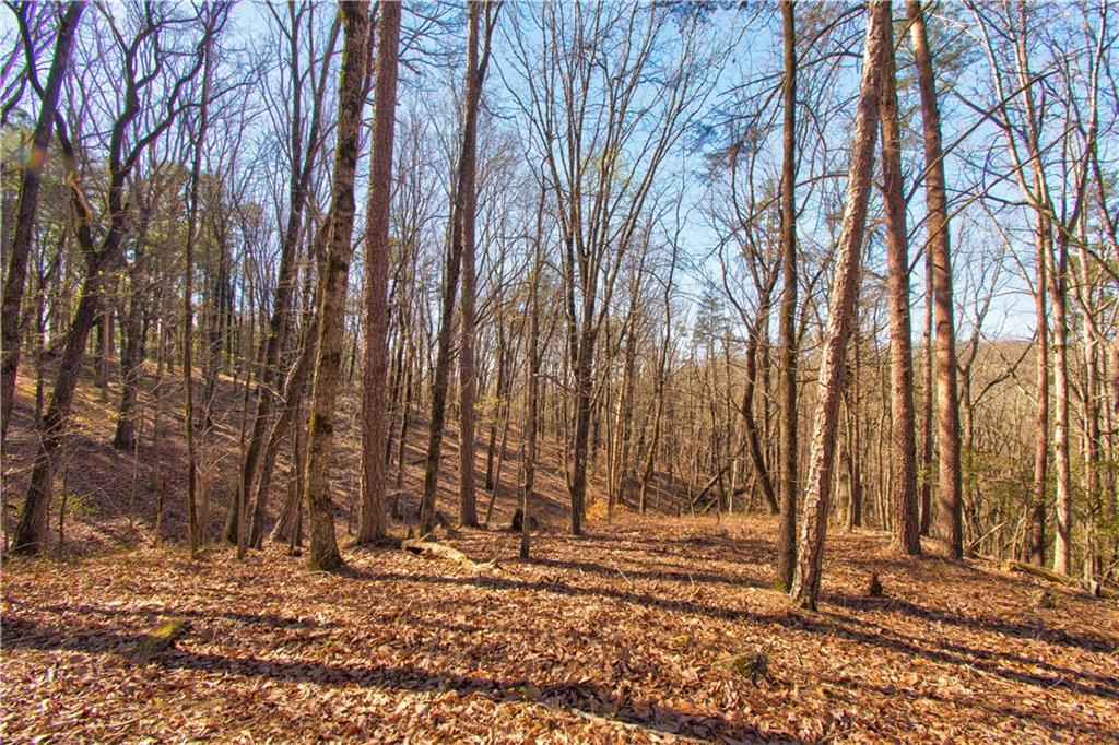 600 Chapman Ridge Lane Murrayville, GA 30564 - Photo 2 of 14 a view of a backyard of the house