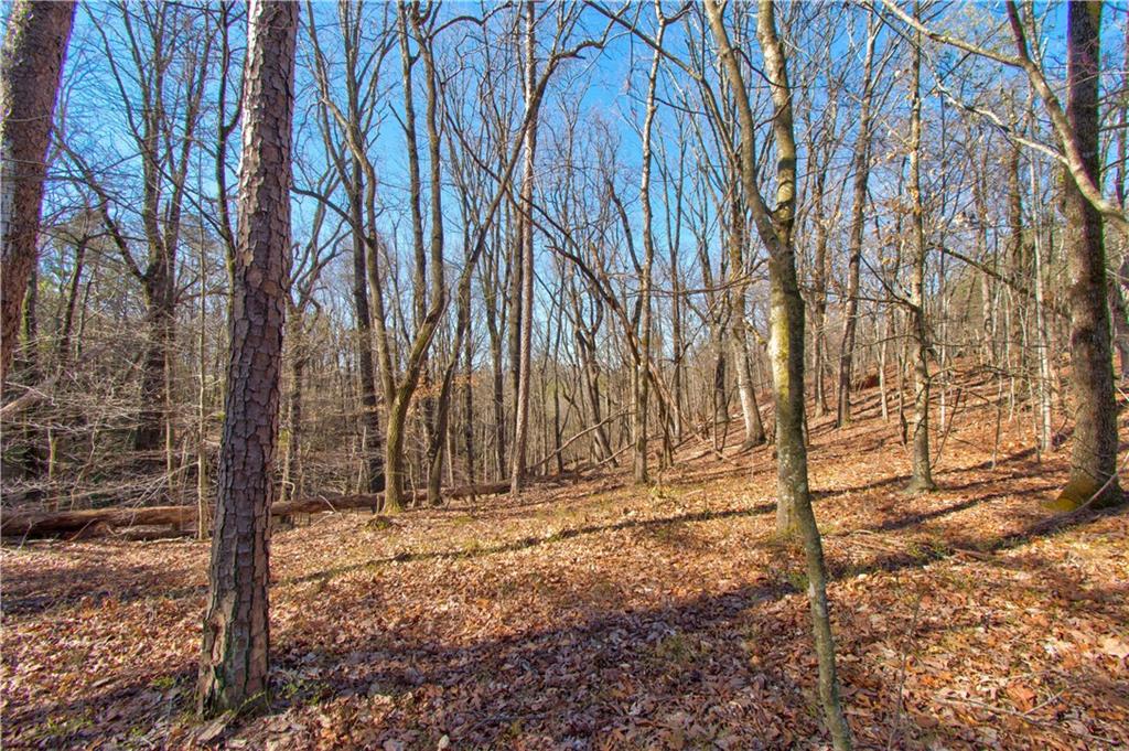 600 Chapman Ridge Lane Murrayville, GA 30564 - Photo 9 of 14 a view of wooden fence