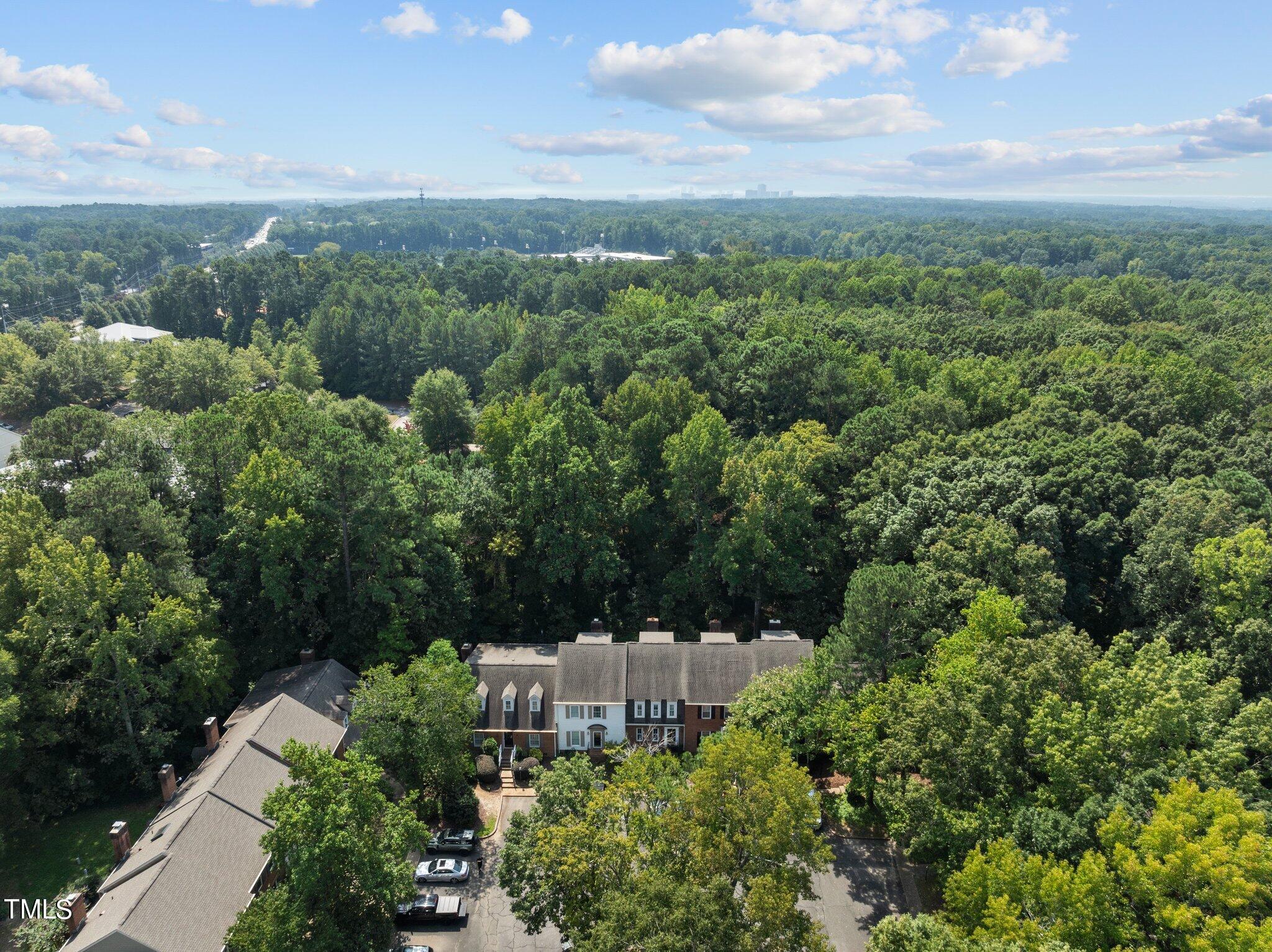 736 Weathergreen Drive Raleigh, NC 27615 - Photo 42 of 43 a view of a city with lush green forest