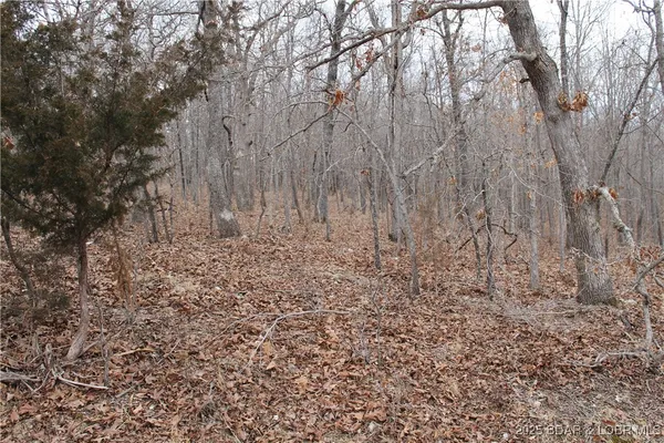 $6,750 | Bogardus Road, Unit 2677, Edwards, MO 65326