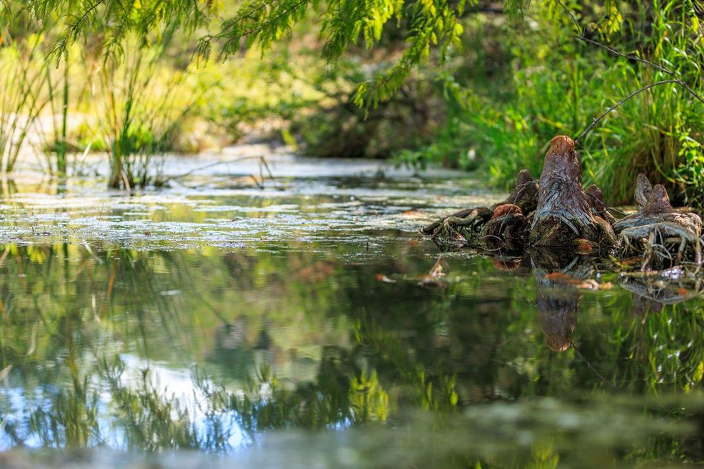 Undisclosed Address Burnet, TX 78611 - Photo 11 of 29 a view of a lake view