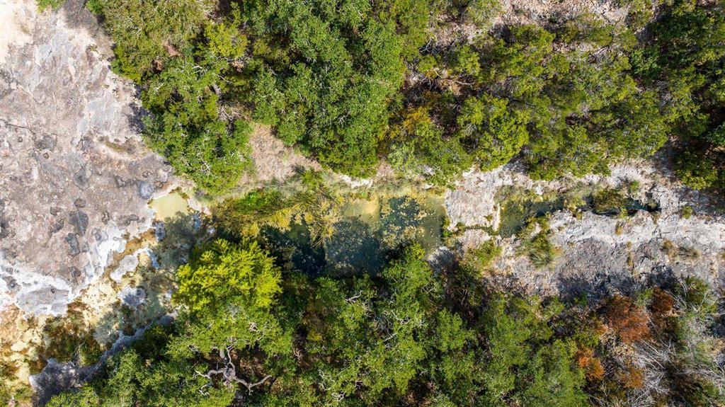 Undisclosed Address Burnet, TX 78611 - Photo 20 of 29 a view of a lush green forest with lots of trees