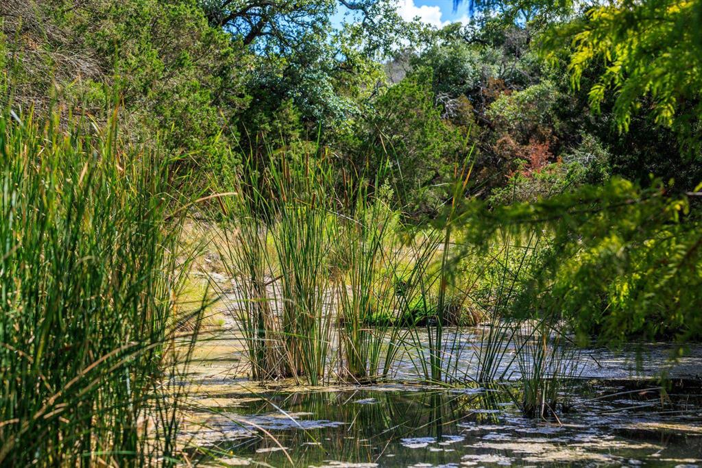 Undisclosed Address Burnet, TX 78611 - Photo 2 of 29 a view of a yard with plants and trees