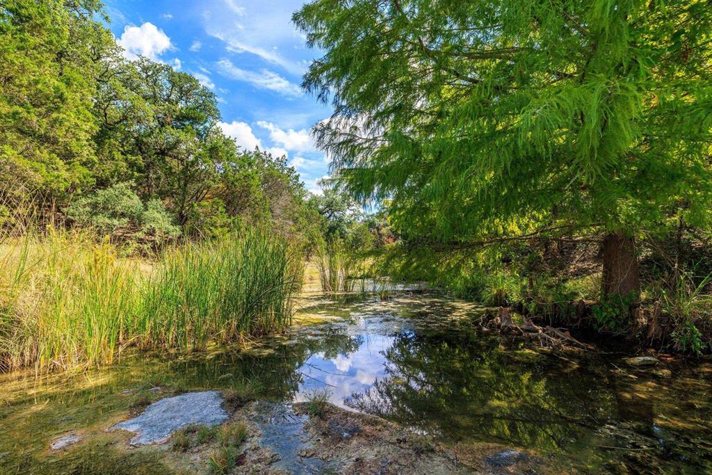 Undisclosed Address Burnet, TX 78611 - Photo 25 of 29 a view of backyard with green space
