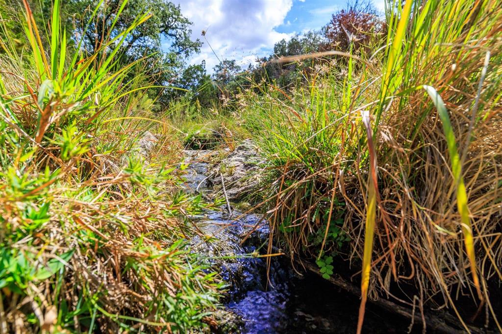 Undisclosed Address Burnet, TX 78611 - Photo 26 of 29 a view of flowers in the garden