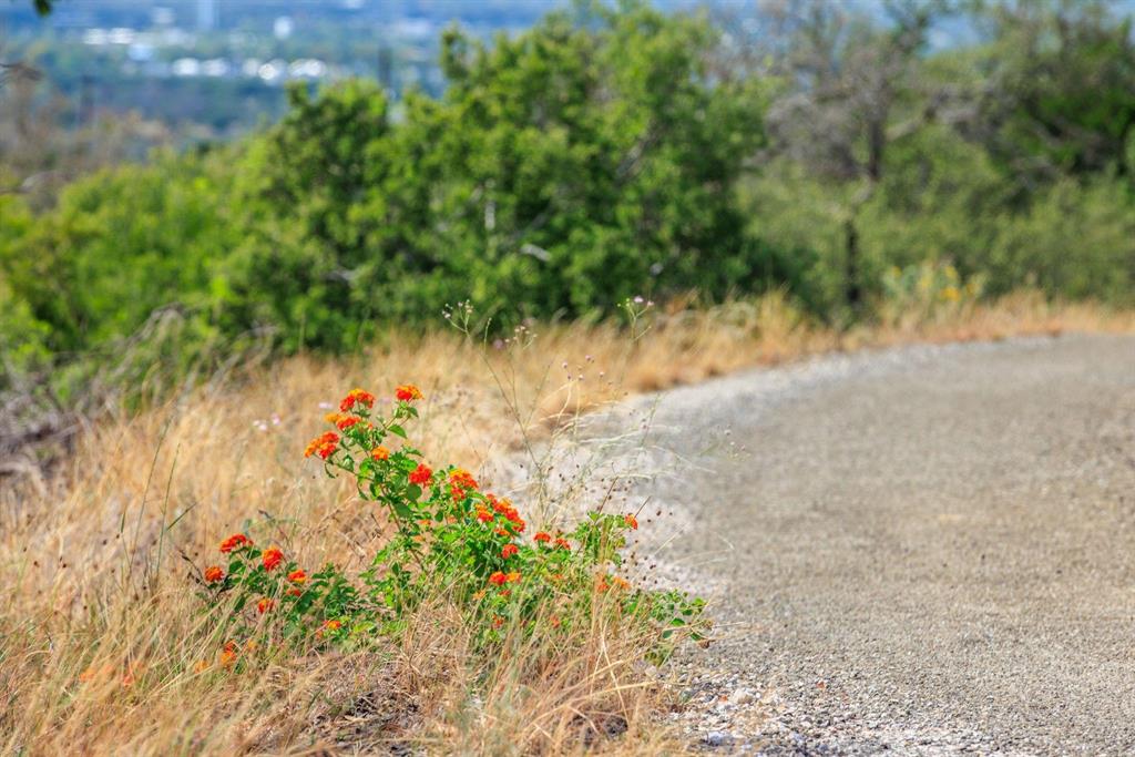 Undisclosed Address Burnet, TX 78611 - Photo 28 of 29 a view of a garden with a flower