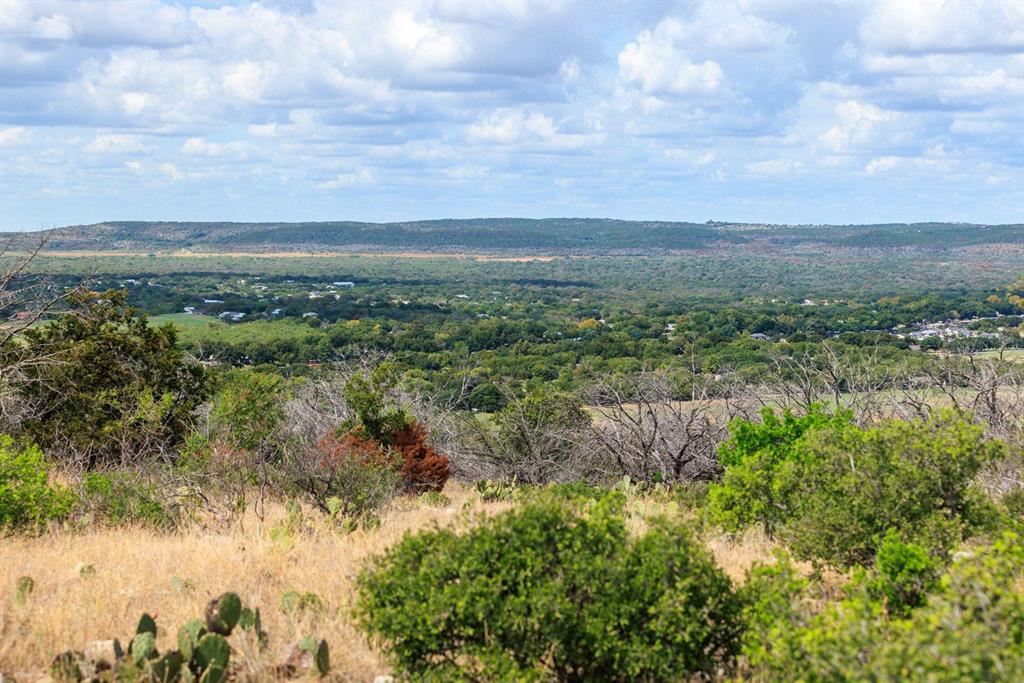 Undisclosed Address Burnet, TX 78611 - Photo 29 of 29 a view of a lake with green field and trees