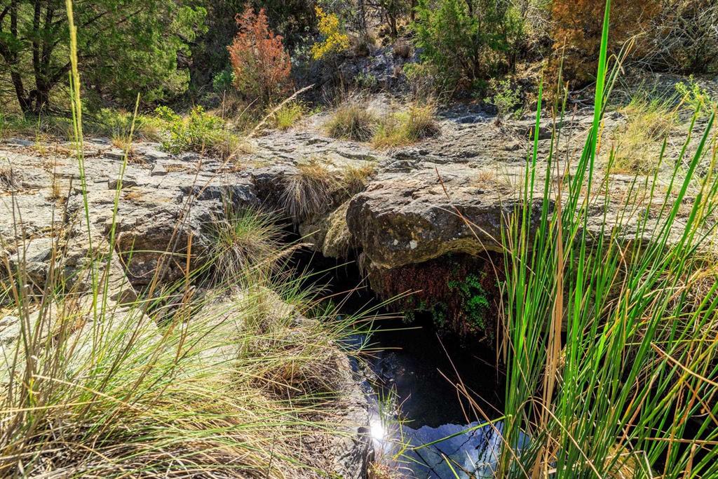 Undisclosed Address Burnet, TX 78611 - Photo 3 of 29 a view of path along with trees