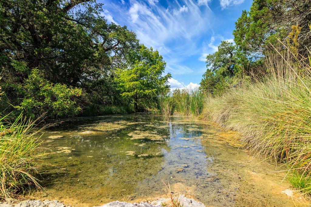 Undisclosed Address Burnet, TX 78611 - Photo 6 of 29 a view of swimming pool