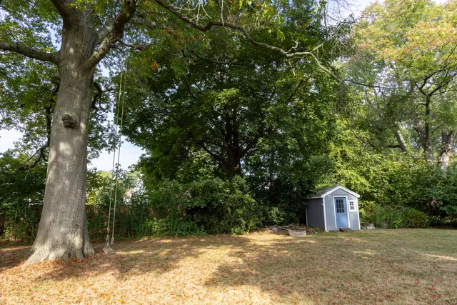 a view of a house with a tree and a tree