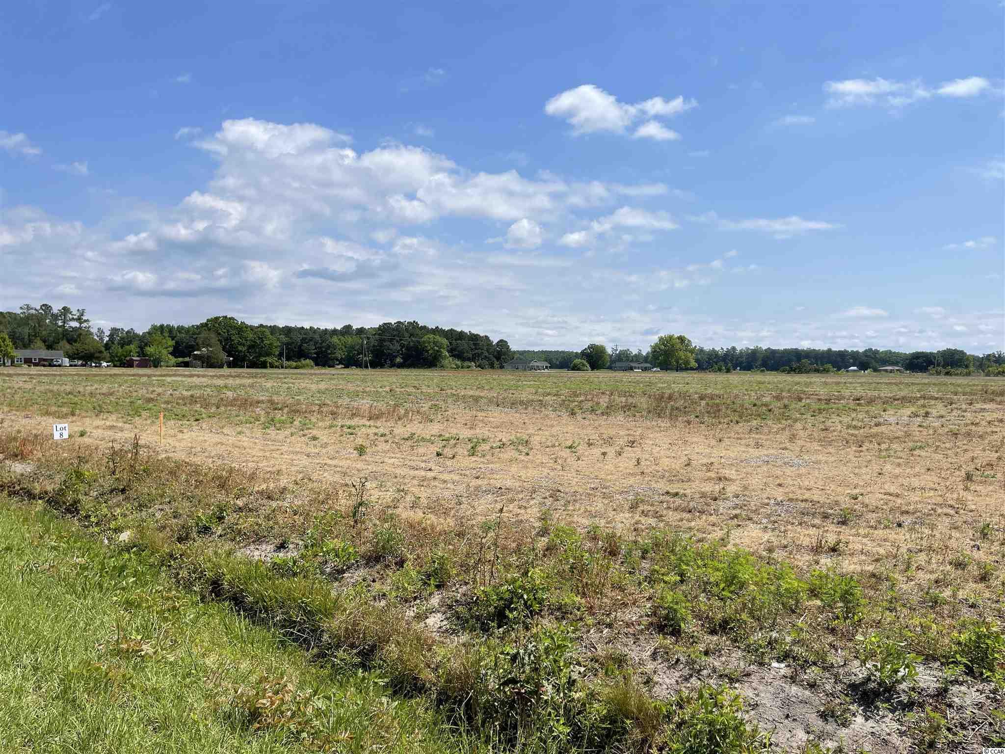 Lot 5 Pleasant Grove Road Loris, SC 29569 - Photo 8 of 16 Gallery Image 8