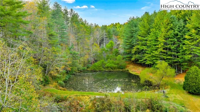 a view of a yard with an outdoor space