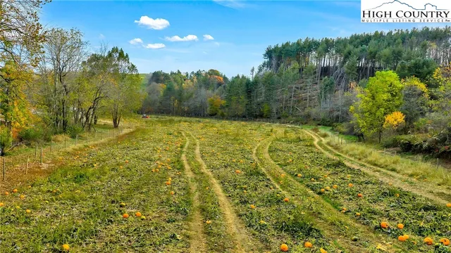 a view of a city with lush green forest