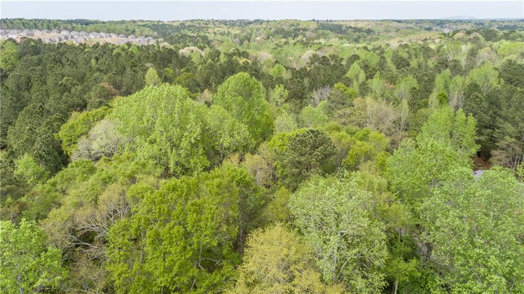 3607 Masters Road Ellenwood, GA 30294 - Photo 9 of 15