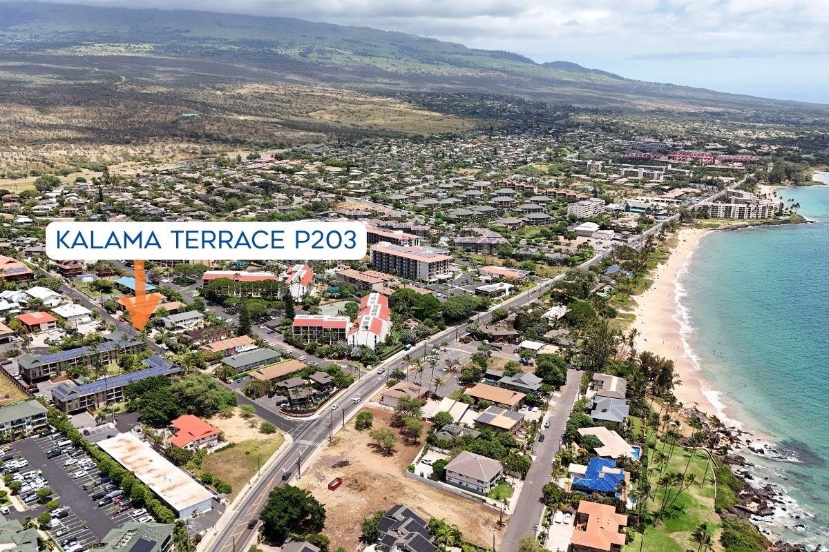 35 Walaka Street, Unit P203 Kihei, HI 96753 - Photo 35 of 41
