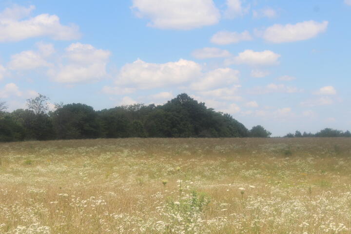 3176 South 170th Road Bolivar, MO 65613 - Photo 29 of 63 IMG_7591
