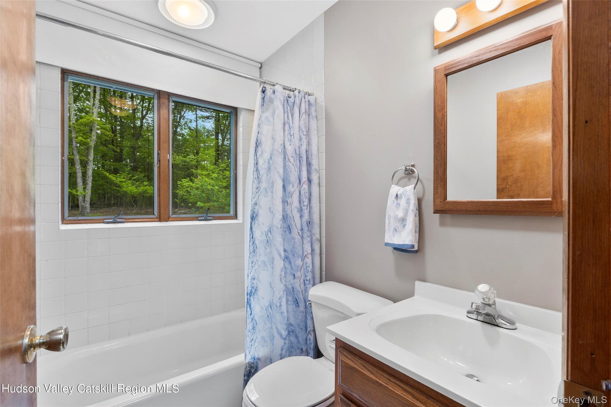 48 Deer Park Road Cairo, NY 12473 - Photo 22 of 33 a bathroom with a sink toilet and shower