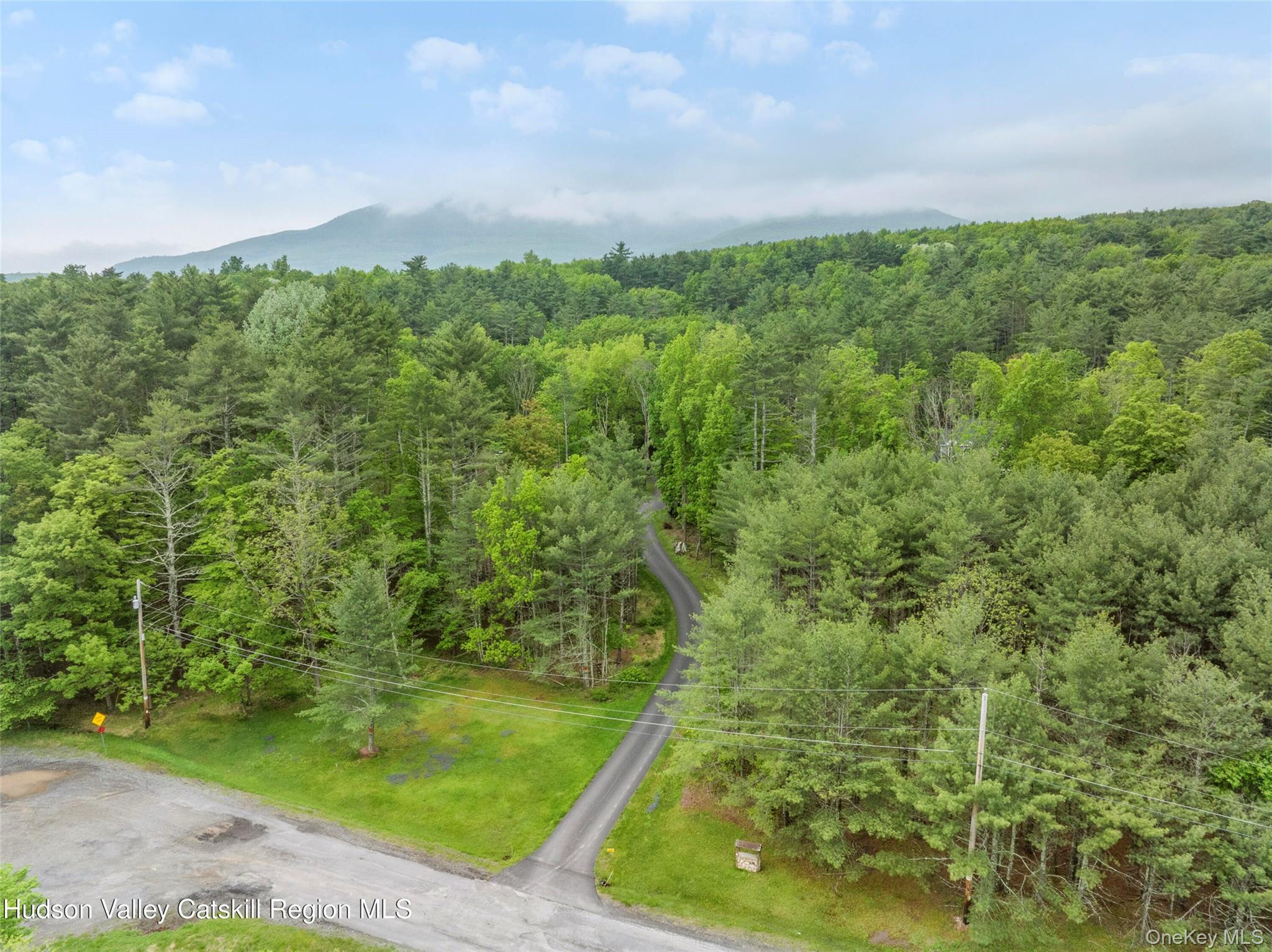 48 Deer Park Road Cairo, NY 12473 - Photo 30 of 33 a view of a yard with an outdoor space