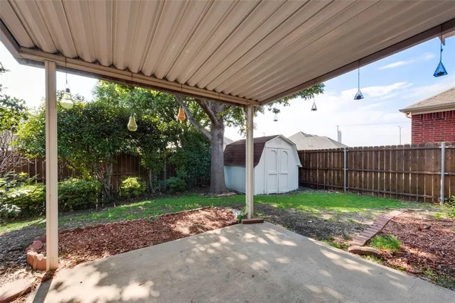 a view of a backyard with plants and a large tree