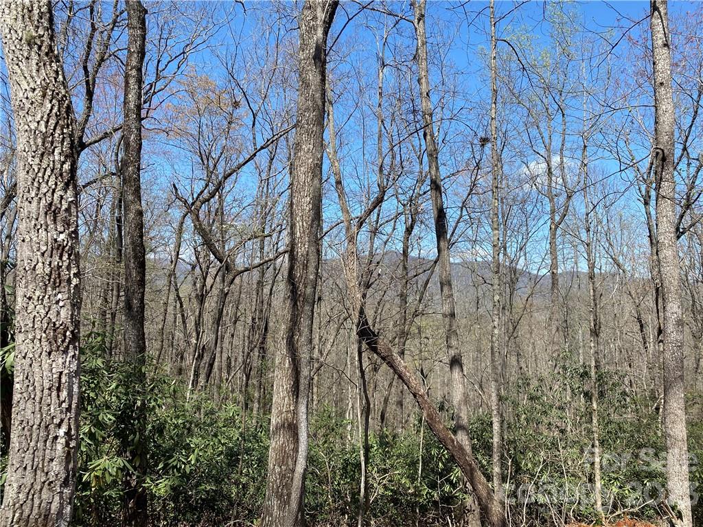 V/l Lytle Mountain Road, Unit 9 Marion, NC 28752 - Photo 1 of 13 Gallery Image 1